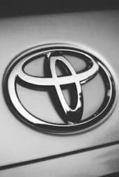 yaris gris