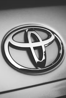 yaris gris