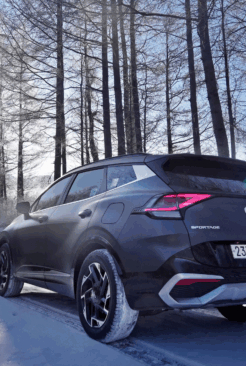 sportage taille