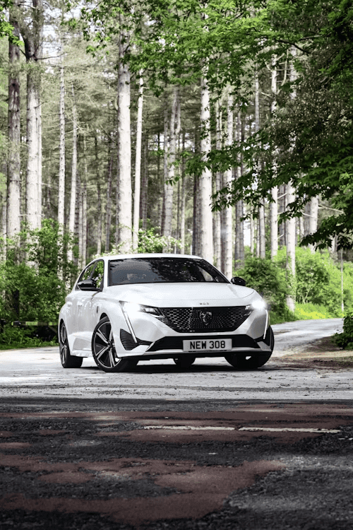 peugeot 308 modèle blanc