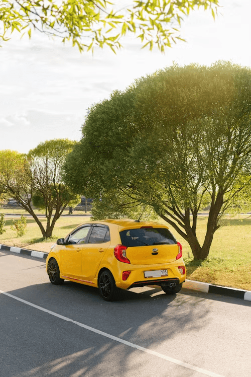 kia picanto dimensions finitions
