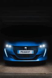 peuegot 208 pneus