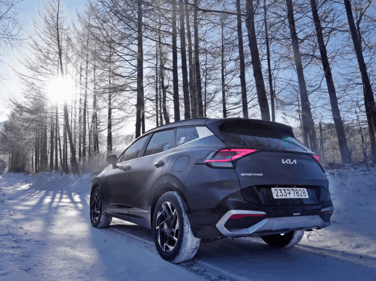 sportage taille