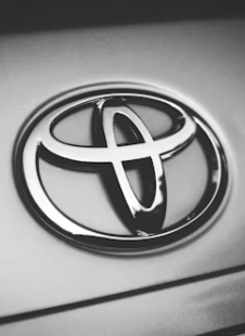 yaris gris