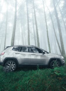 voiture qui ne roule pas pendant 1 an